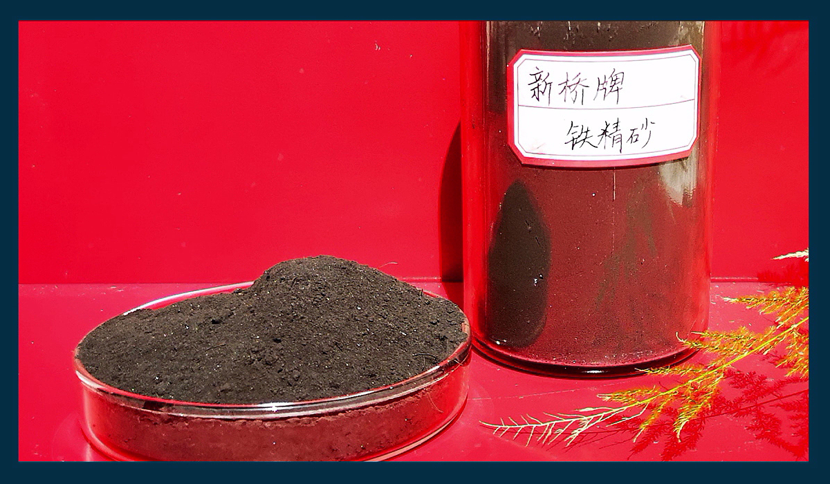 金狮贵宾会·宾至如归-尊贵显赫