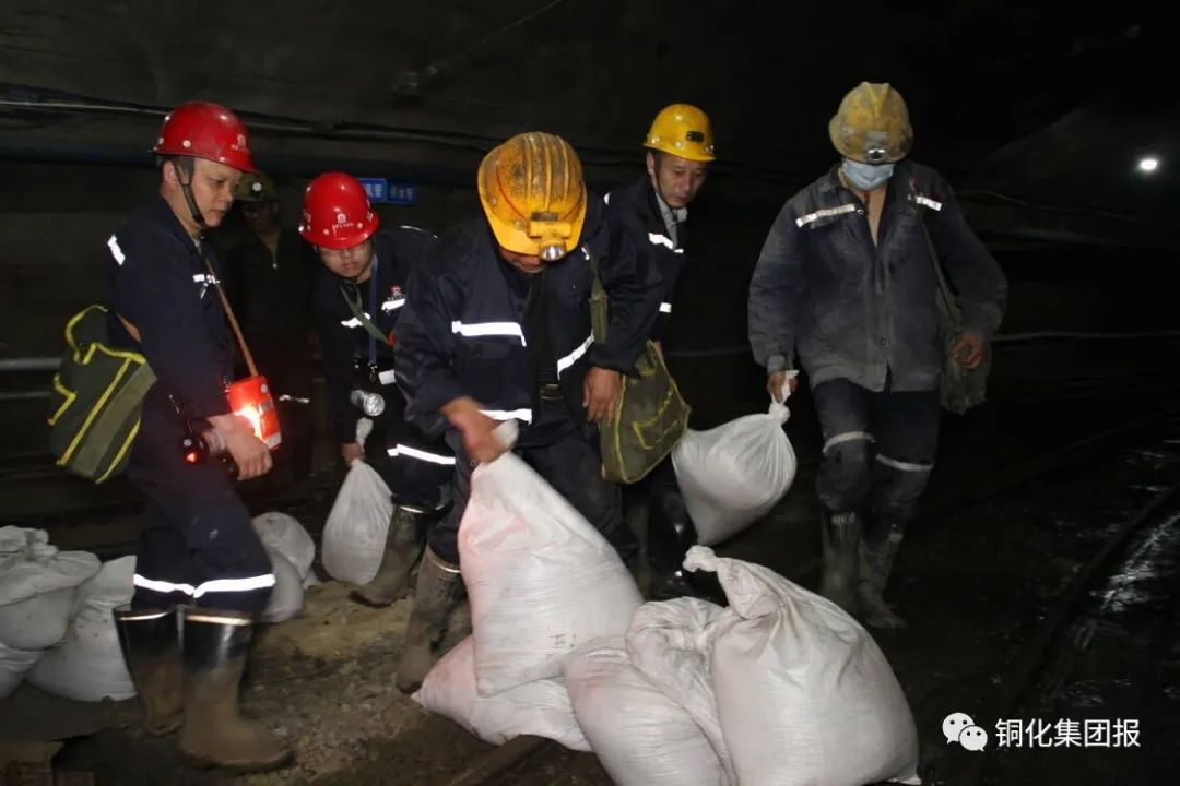 金狮贵宾会·宾至如归-尊贵显赫
