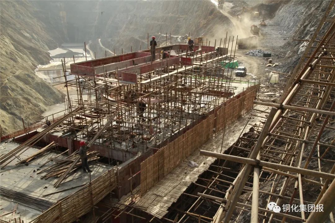 金狮贵宾会·宾至如归-尊贵显赫