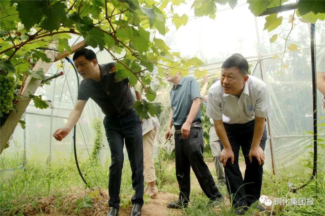金狮贵宾会·宾至如归-尊贵显赫