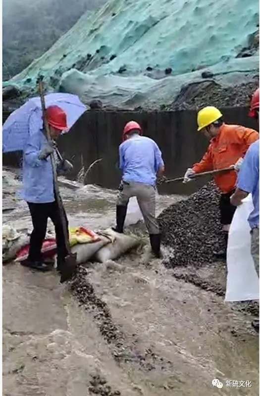 金狮贵宾会·宾至如归-尊贵显赫