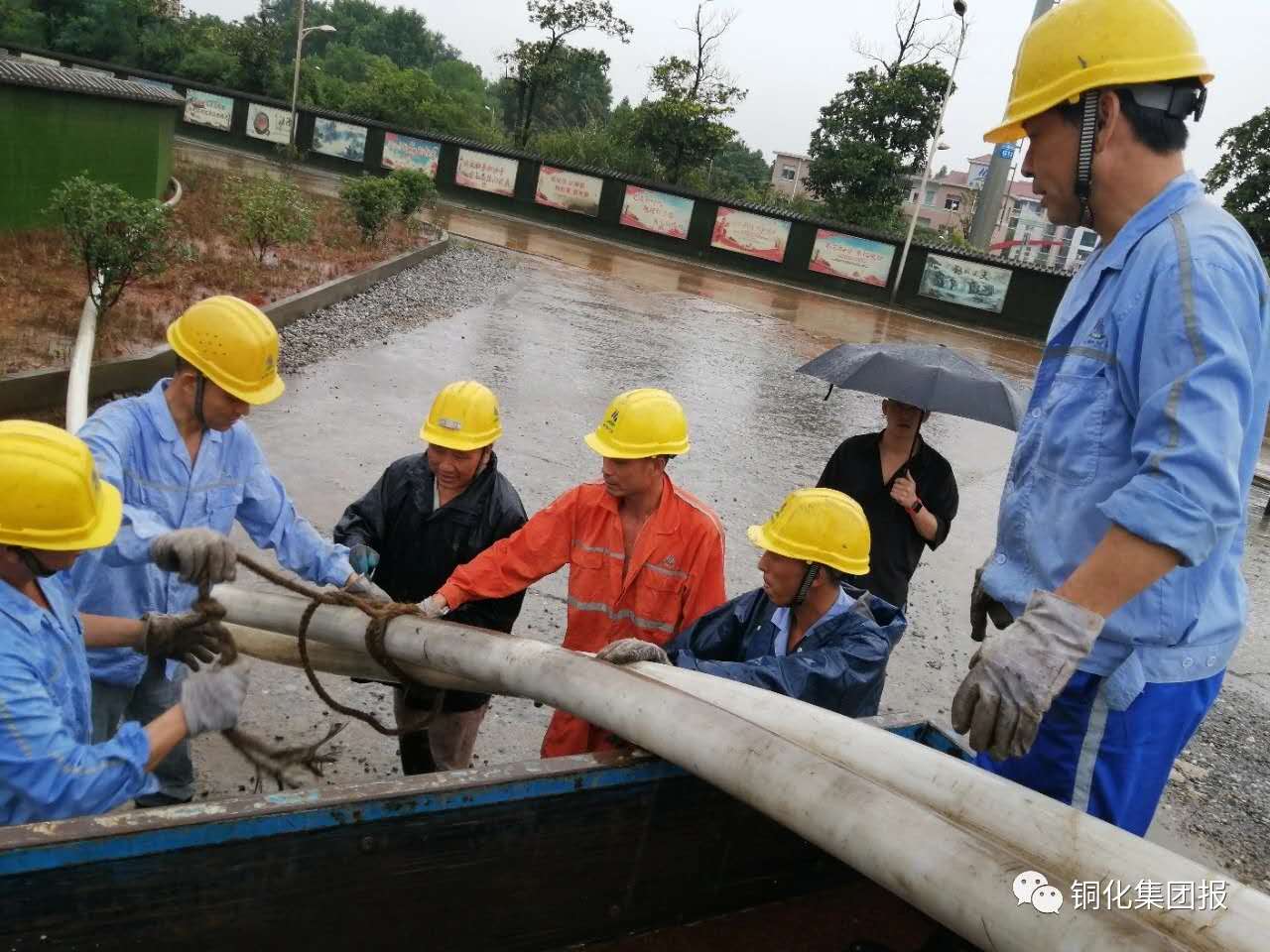 金狮贵宾会·宾至如归-尊贵显赫