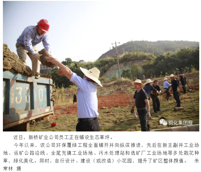 金狮贵宾会·宾至如归-尊贵显赫