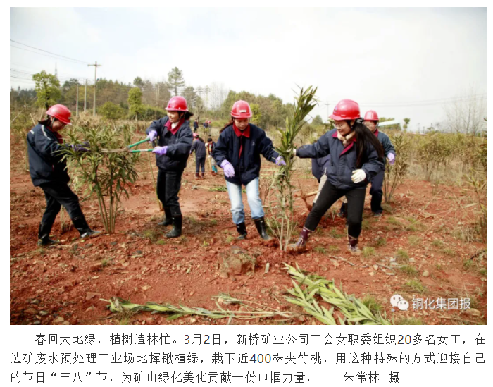金狮贵宾会·宾至如归-尊贵显赫