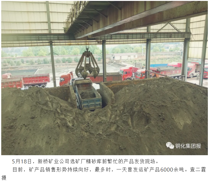 金狮贵宾会·宾至如归-尊贵显赫